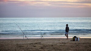 Una playa con cañas de pescar y una nevera sobre la arena.