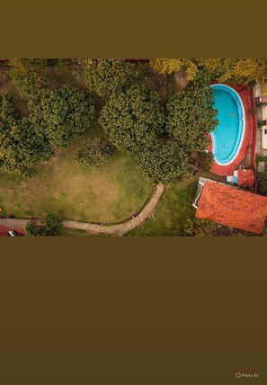 Servicio de la propiedad