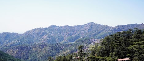 A mountainous landscape with dense forest and scattered buildings.