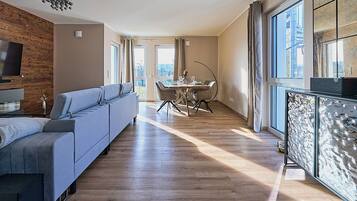 TV connectée, cheminée, livres, chaßne hi-fi