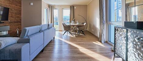 TV connectée, cheminée, livres, chaîne hi-fi