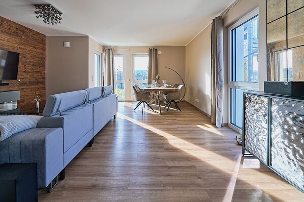 TV connectée, cheminée, livres, chaîne hi-fi