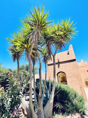 Jardines del alojamiento