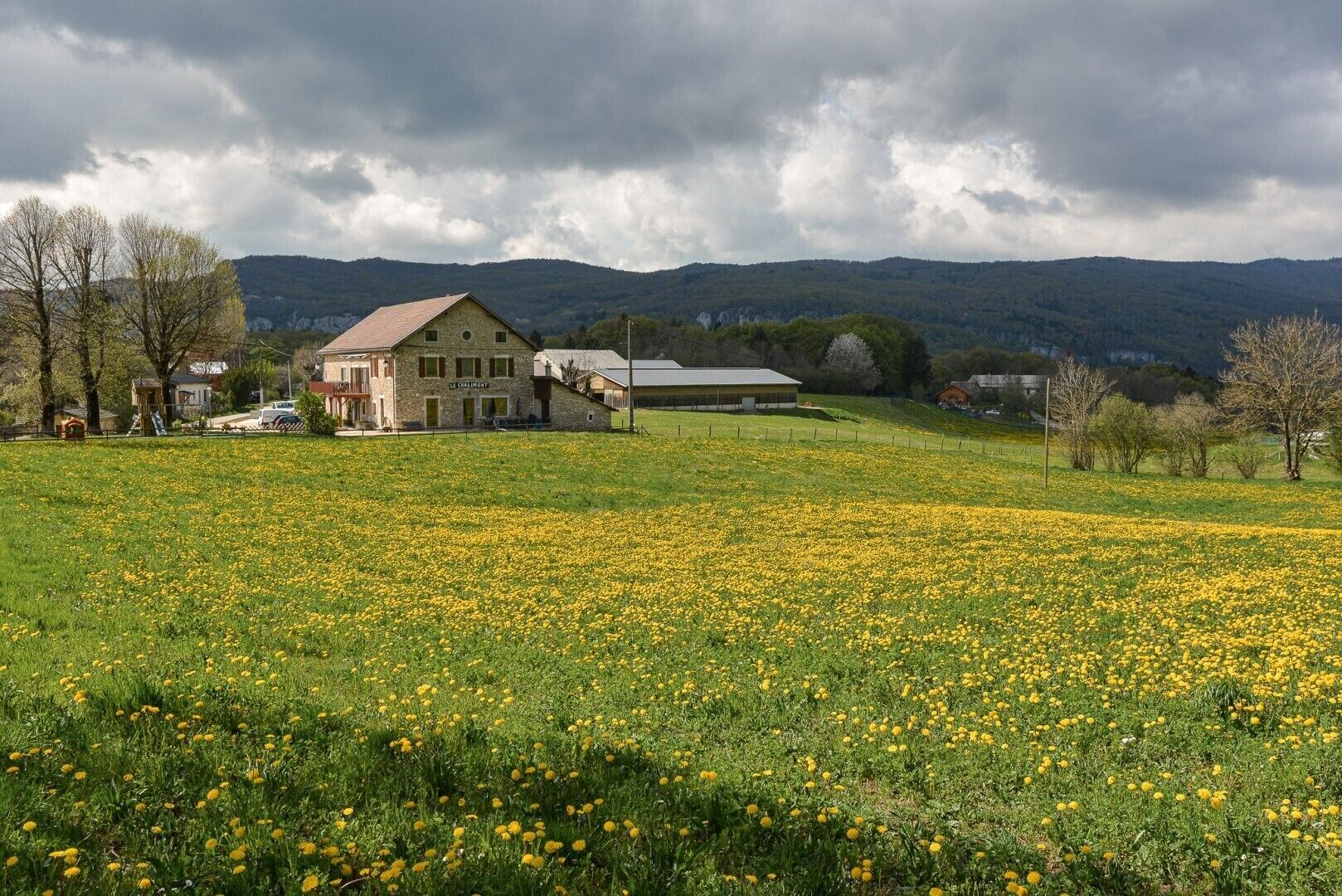 A rural landscape with a stone building, a field of yellow flowers, and a mountain range in the background.