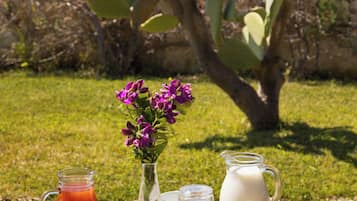 بوفيه فطور مجانًا يوميًا