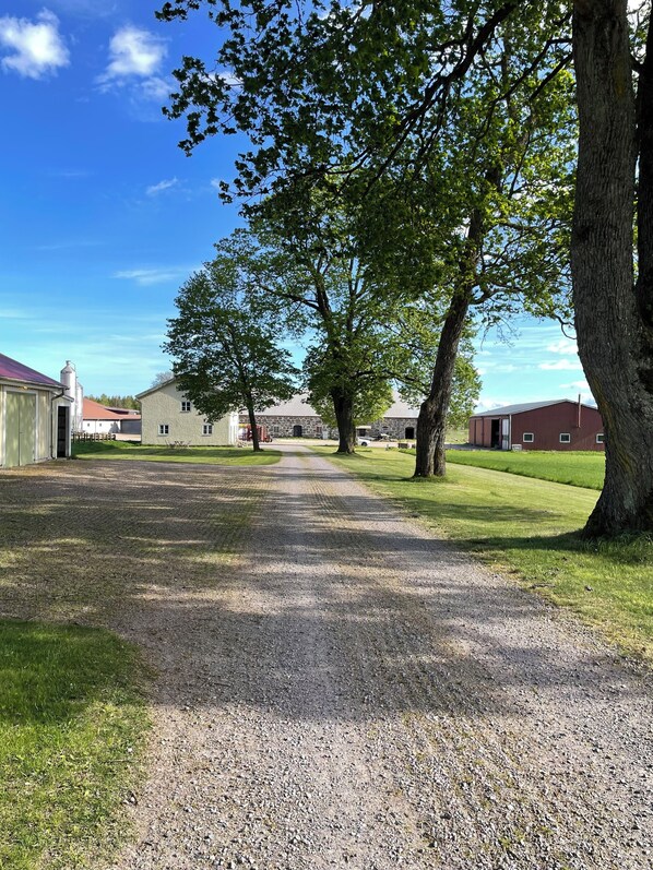 Property grounds