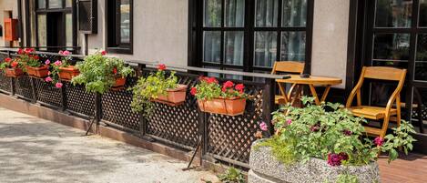 Classic Single Room, City View | Terrace/patio