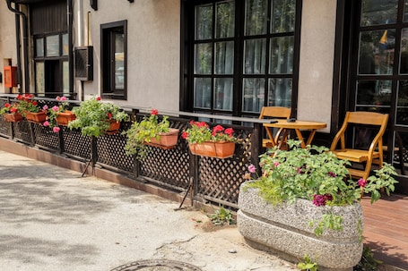 Classic Single Room, City View | Terrace/patio