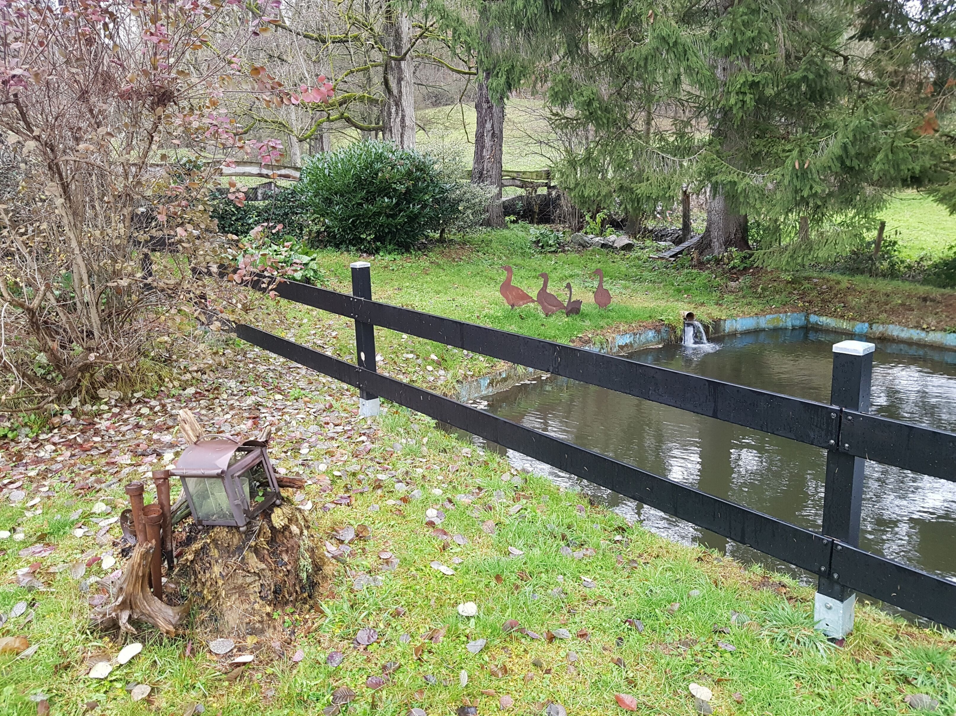 A pond with ducks, a wooden fence, and a small waterfall.