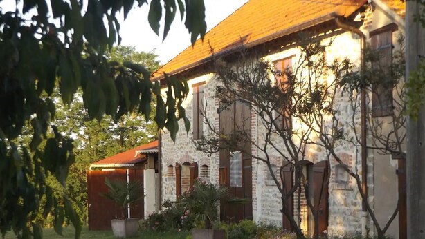A rustic stone building with a red roof, surrounded by greenery and potted plants.