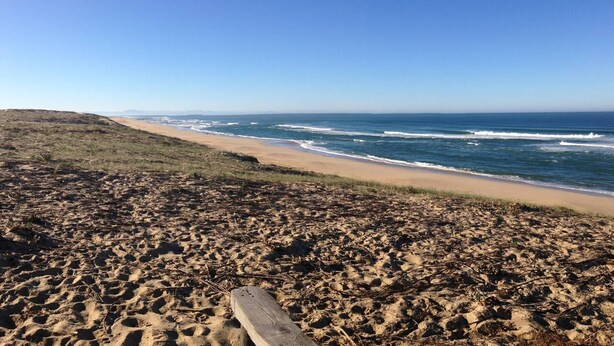Una playa con un paseo marítimo de madera que conduce al océano, terreno arenoso y un cielo azul despejado.