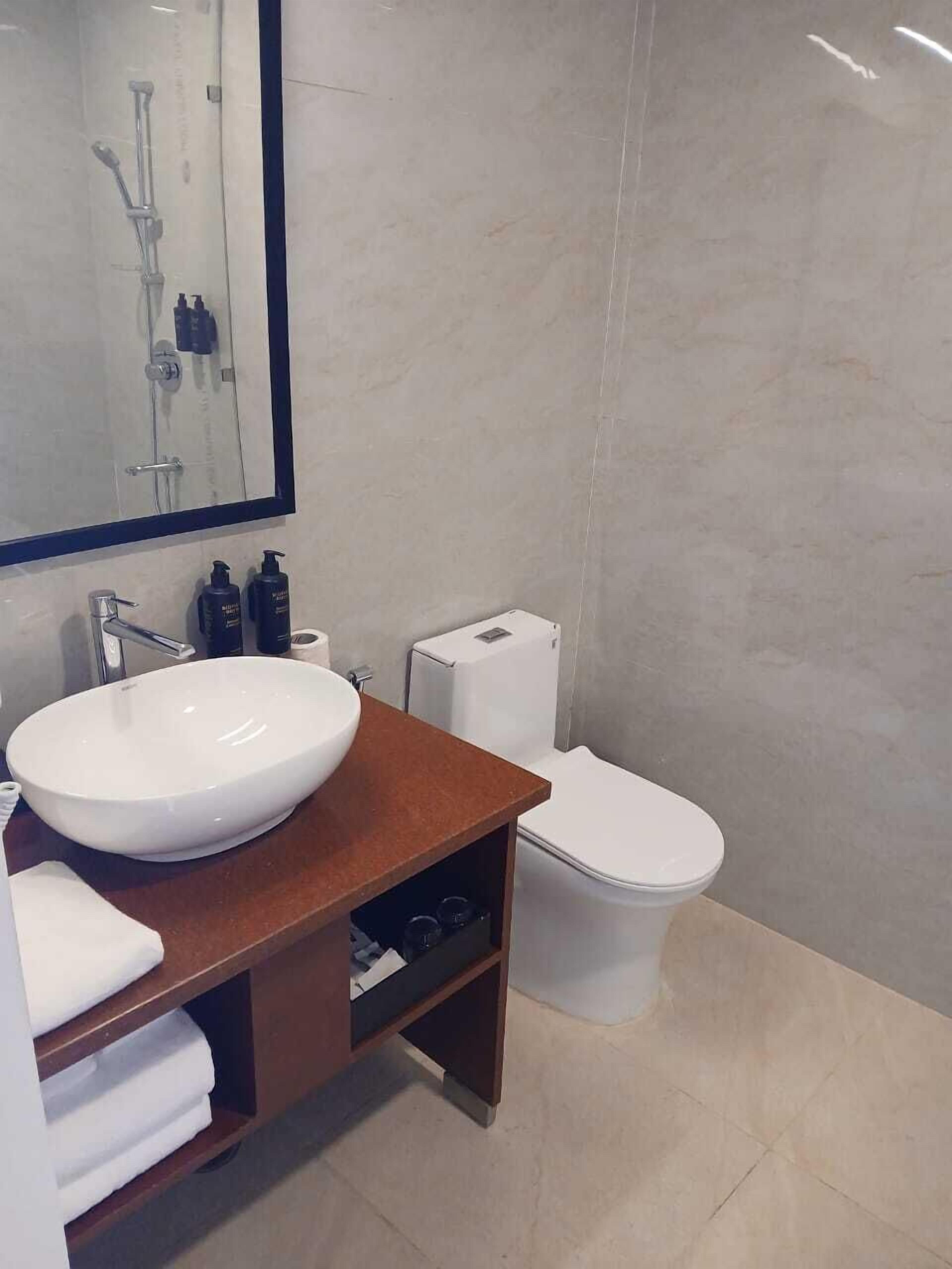 A modern bathroom with a large white sink, a mirror, a toilet, and a shower area.