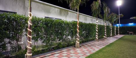 A nighttime outdoor area with a paved walkway, palm trees, and a hedge.