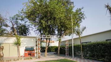 A courtyard with a lawn, a tree, a pergola, and a building with a flat roof.