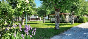 Mobile Home | Exterior - Mobile Home in Sarazena in Einem Ferienpark (Sarzana)