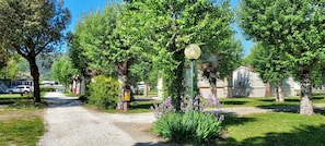 Jardín