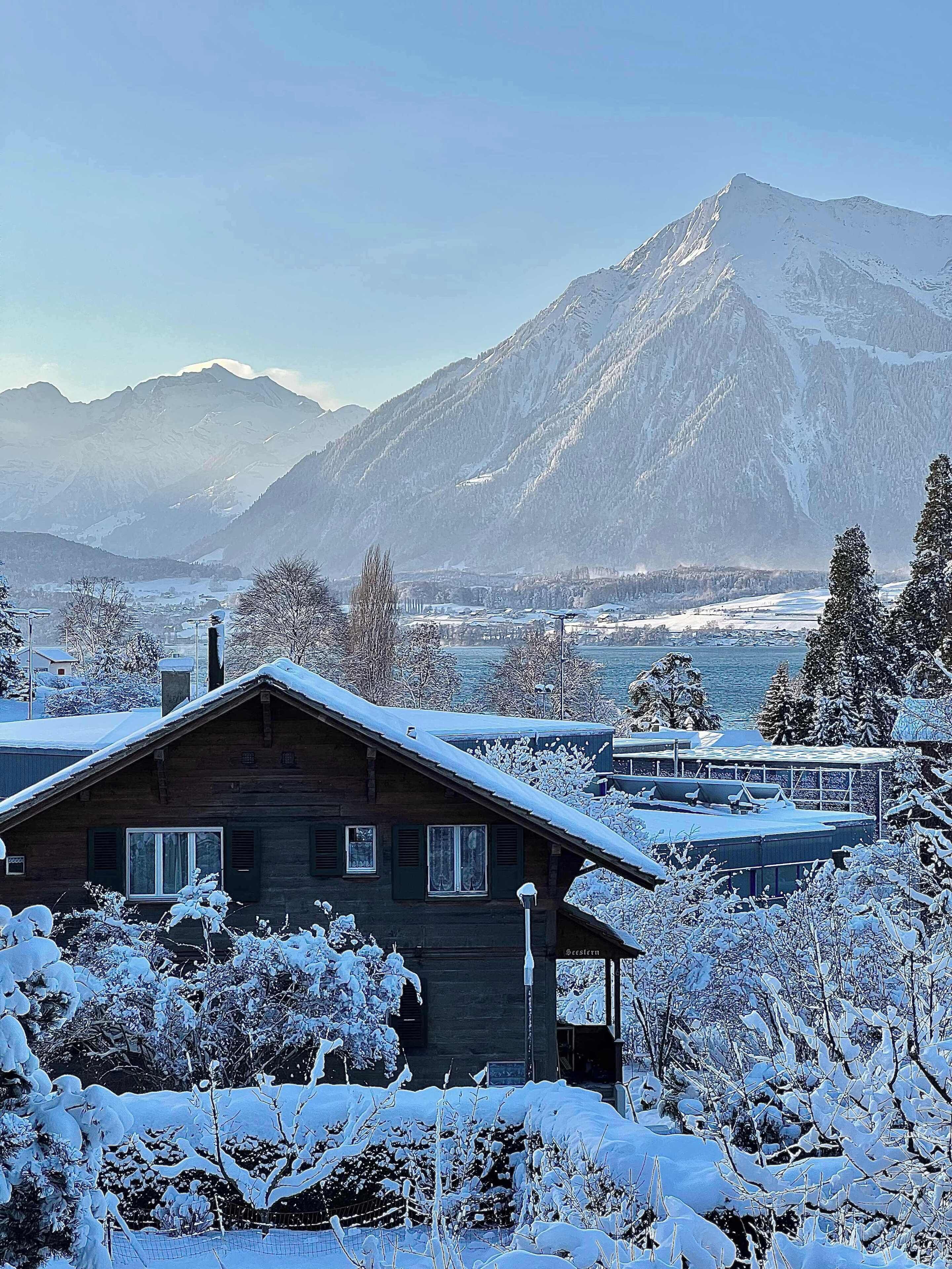 Snowy winterland during colder months