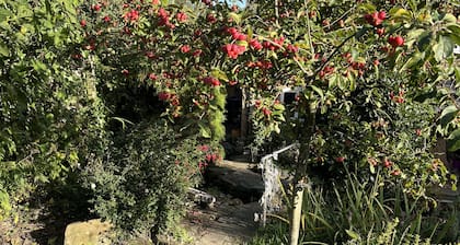Bumble Bee at 2 Clematis Cottage