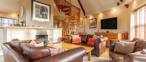 TV, fireplace, DVD player