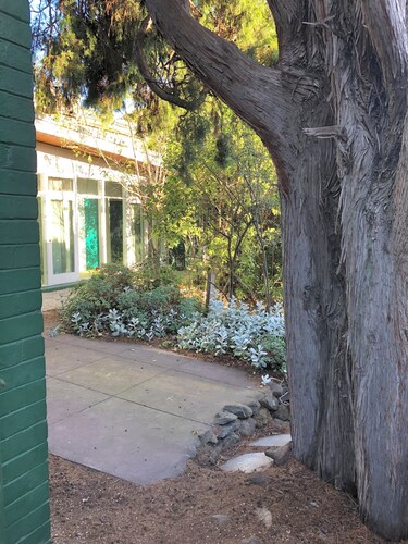 2 bedroom home oasis in central Ivanhoe East