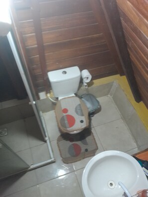 Asciugamani, sapone, carta igienica
