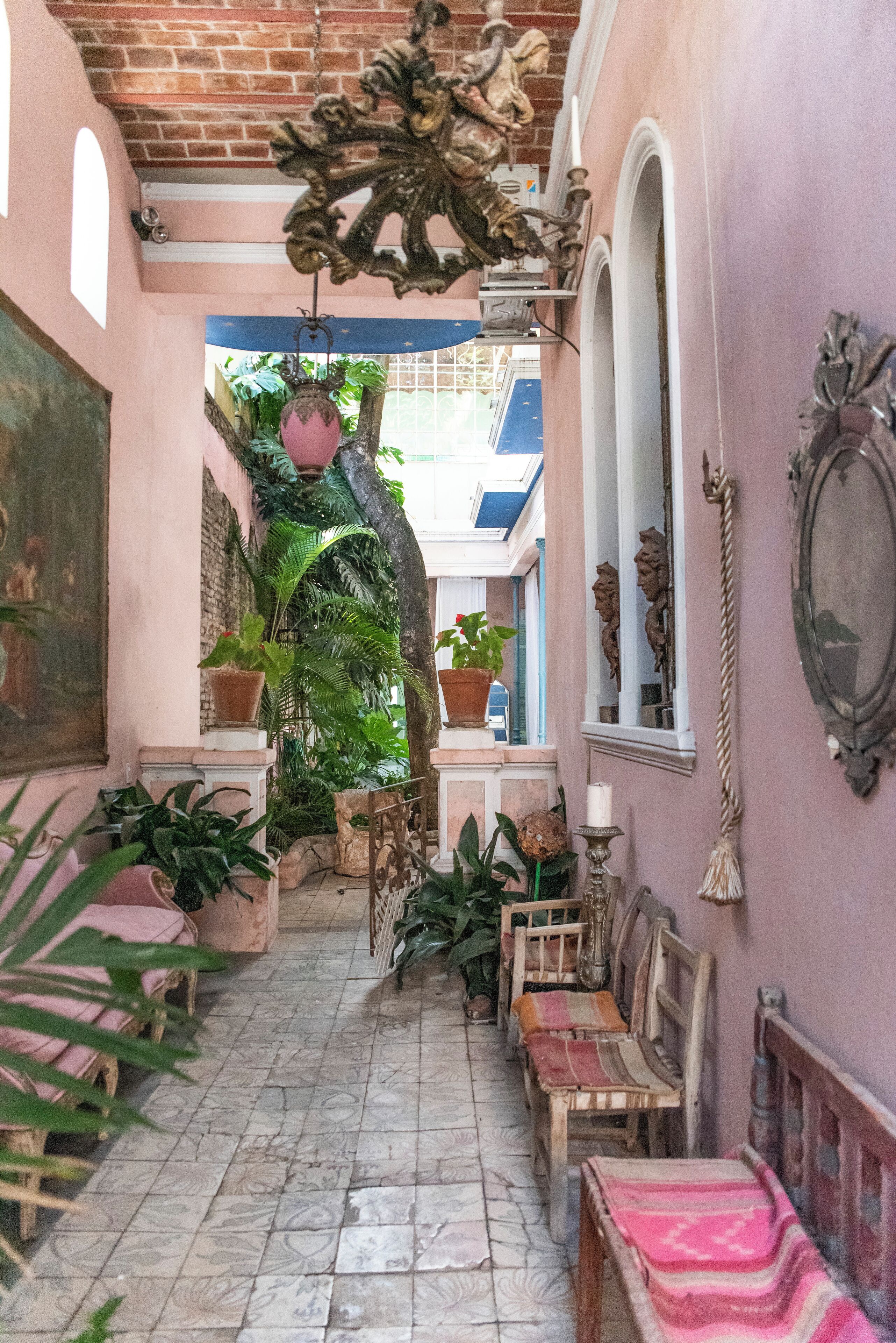 Un pasillo estrecho con suelo de baldosas, plantas en macetas y muebles de madera.