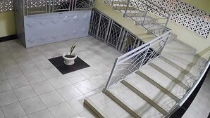 Una escalera con barandillas metálicas, una planta en maceta sobre un felpudo negro, y una silla en primer plano.