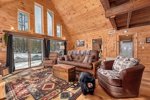 Smart TV, chimenea, reproductor de DVD y videoteca 