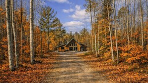 A cabin surrounded by trees with a dirt path leading to it. - Hot Tub, Firepit, AC, Near Trails & Lakes (Phelps)