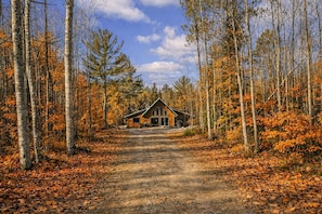 A cabin surrounded by trees with a dirt path leading to it.
