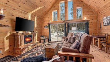 Smart TV, fireplace, DVD player, video library