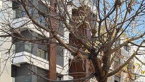A modern building with a tree in front, parked cars, and a sign for 'The Ritz' hotel. - Luxurious 2-bedroom Apartment in Heart of Rabat (Rabat)