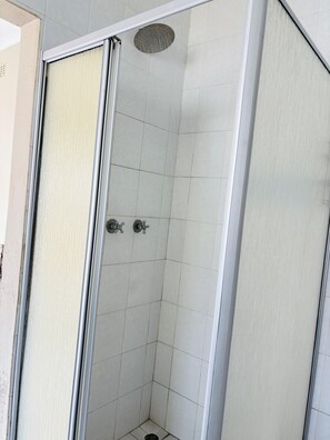 Regadera, toallas, jabón, papel de baño