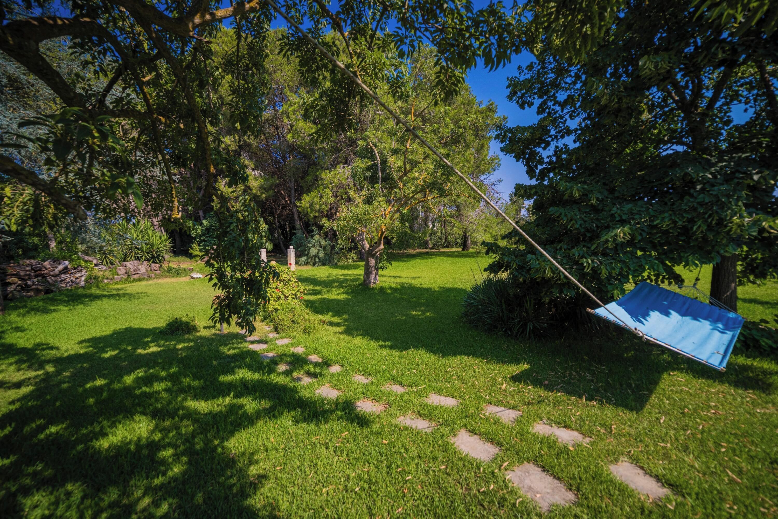 A garden with a hammock, stone steps, and various trees.