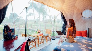 A tent-style room with a bed, a table with a laptop, and a view of greenery outside.