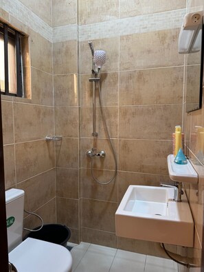 Shower, towels, soap, toilet paper