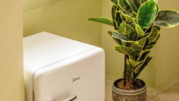 Un refrigerador blanco y compacto junto a una maceta con hojas variegadas, frente a una pared con un ventanal.