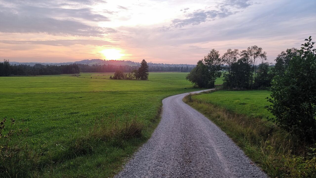 Une route de campagne sinueuse traverse un champ verdoyant bordé d’arbres, et mène à un coucher de soleil visible au loin.