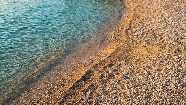 Ein Kiesstrand mit klarem türkisblauem Wasser, eine kleine Holzhütte und ein bewaldeter Hügel im Hintergrund.