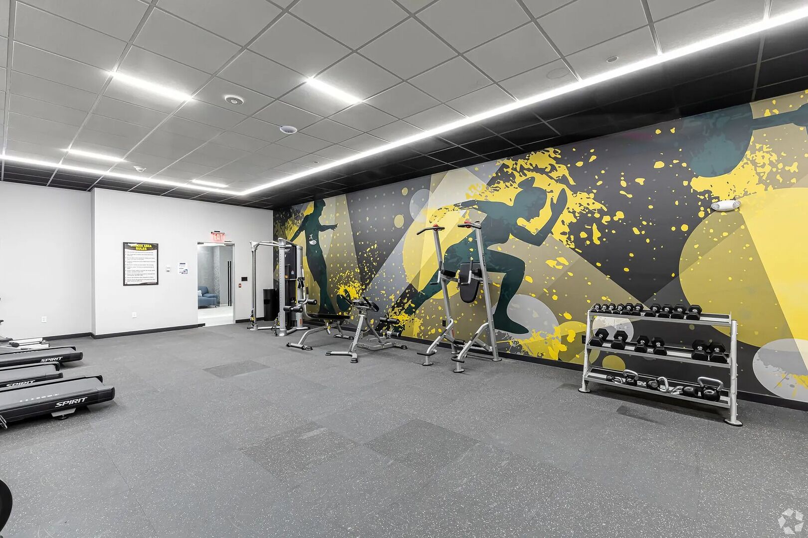 A gym with treadmills, weight machines, and dumbbells.