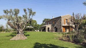 Una casa de piedra con un gran árbol en el jardín delantero.