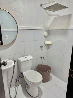Shower, bidet, towels, toilet paper