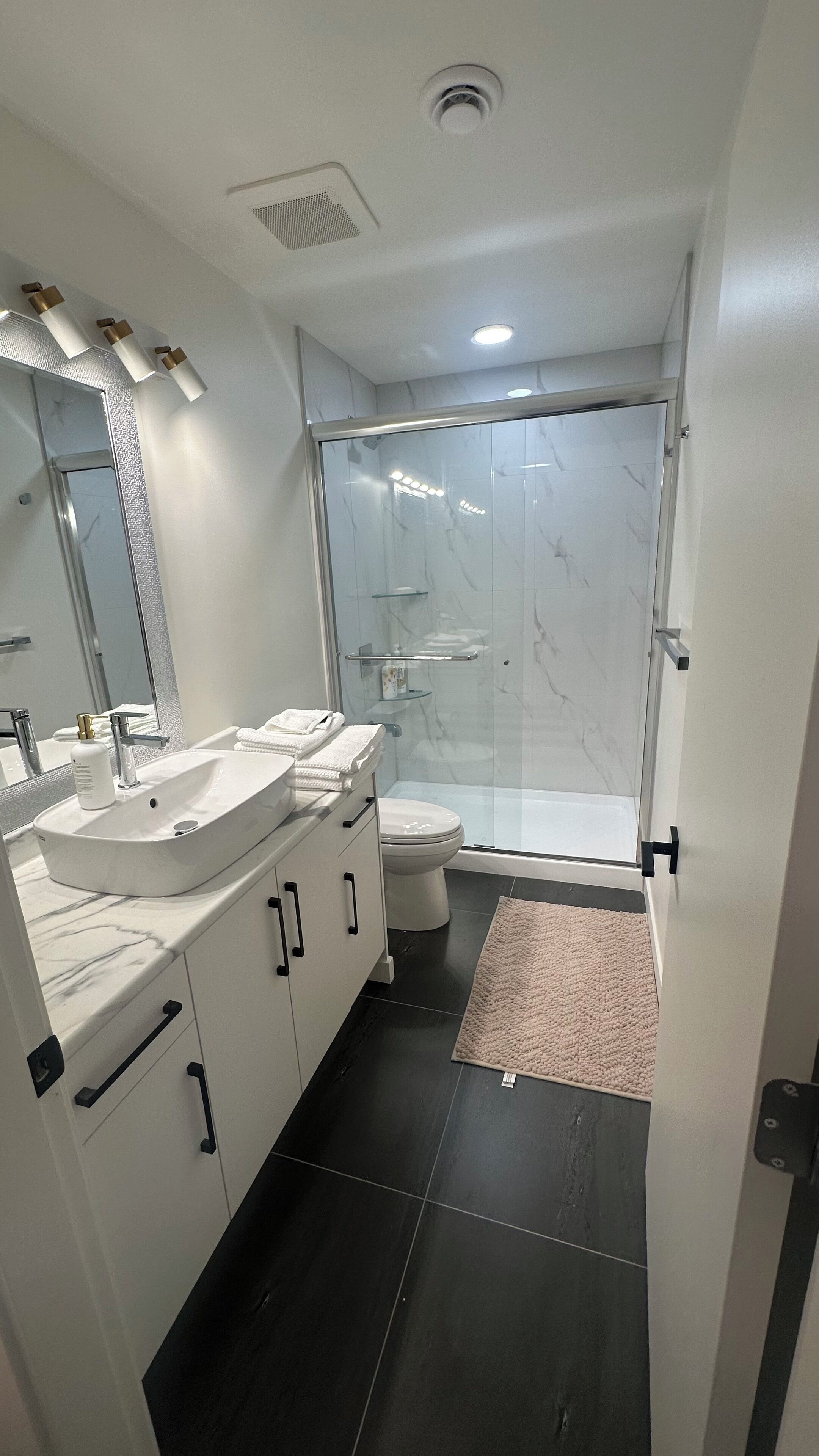 Hair dryer, towels, soap, toilet paper