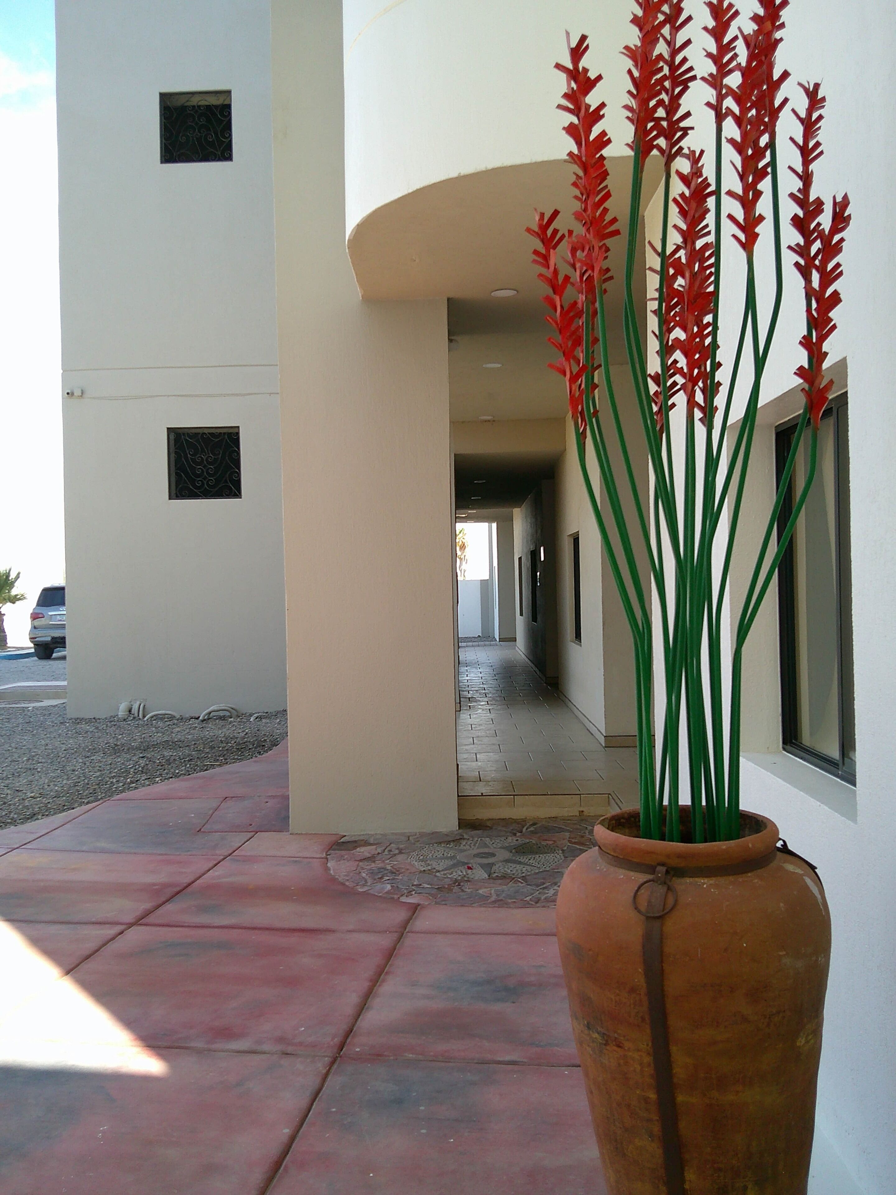 A building exterior with a tiled walkway, a potted plant with red flowers, and a clear sky.