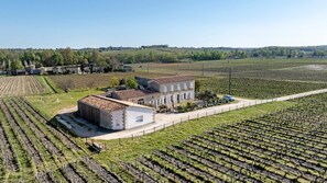 Exterior - Gite La Roseraie: Private Terrace, Wi-Fi, and Air Conditioning in Saint-Émilion (Saint-Émilion)