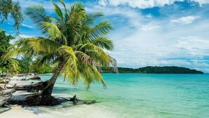 A beach with clear turquoise water, a palm tree, and a distant island. - Relaxing 1-bedroom resort with AC in peaceful Preah Sihanouk #4 (Preah Sihanouk,)