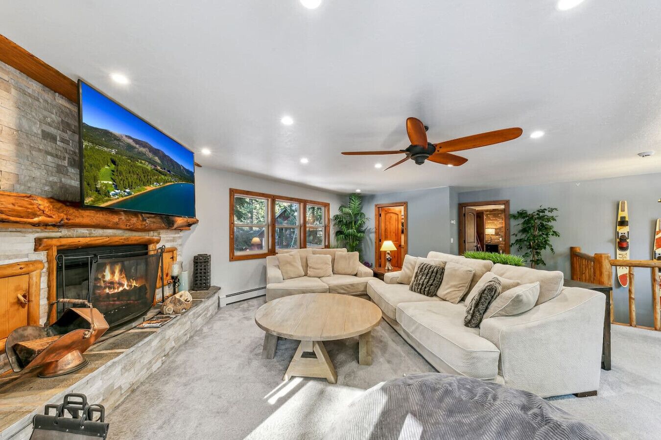 تلفزيون، مدفأة، كُتُب