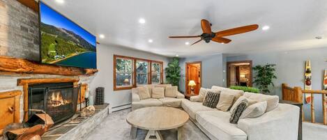 تلفزيون، مدفأة، كُتُب