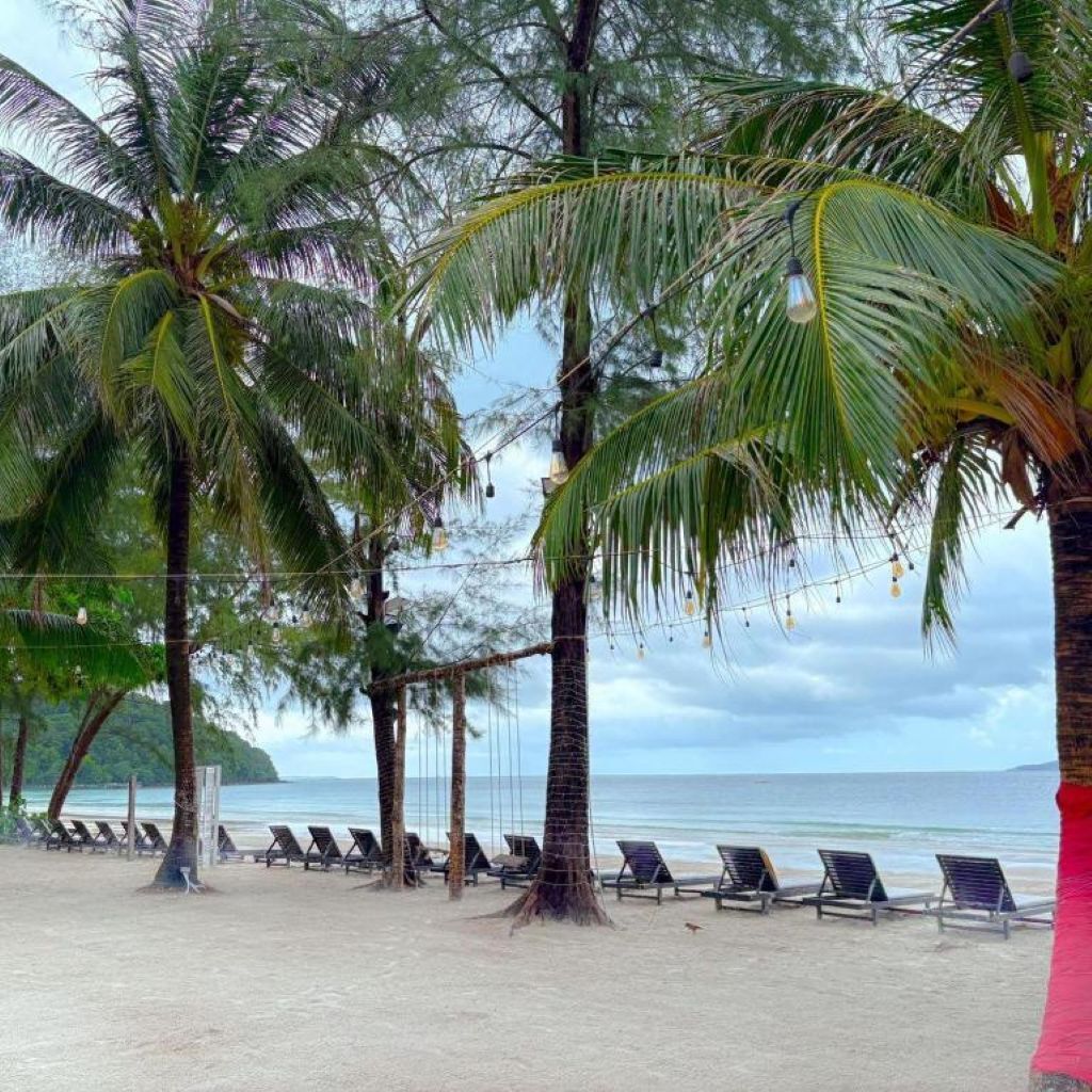 Une plage bordée de rangées de transats et de palmiers.