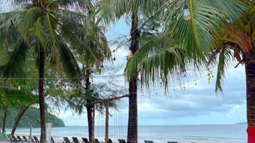 Une plage bordée de rangées de transats et de palmiers.